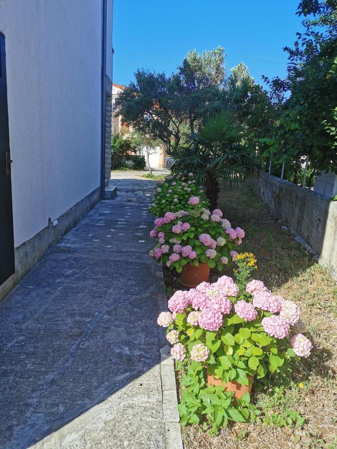 Bugenvila Rogoznica  Exterior foto